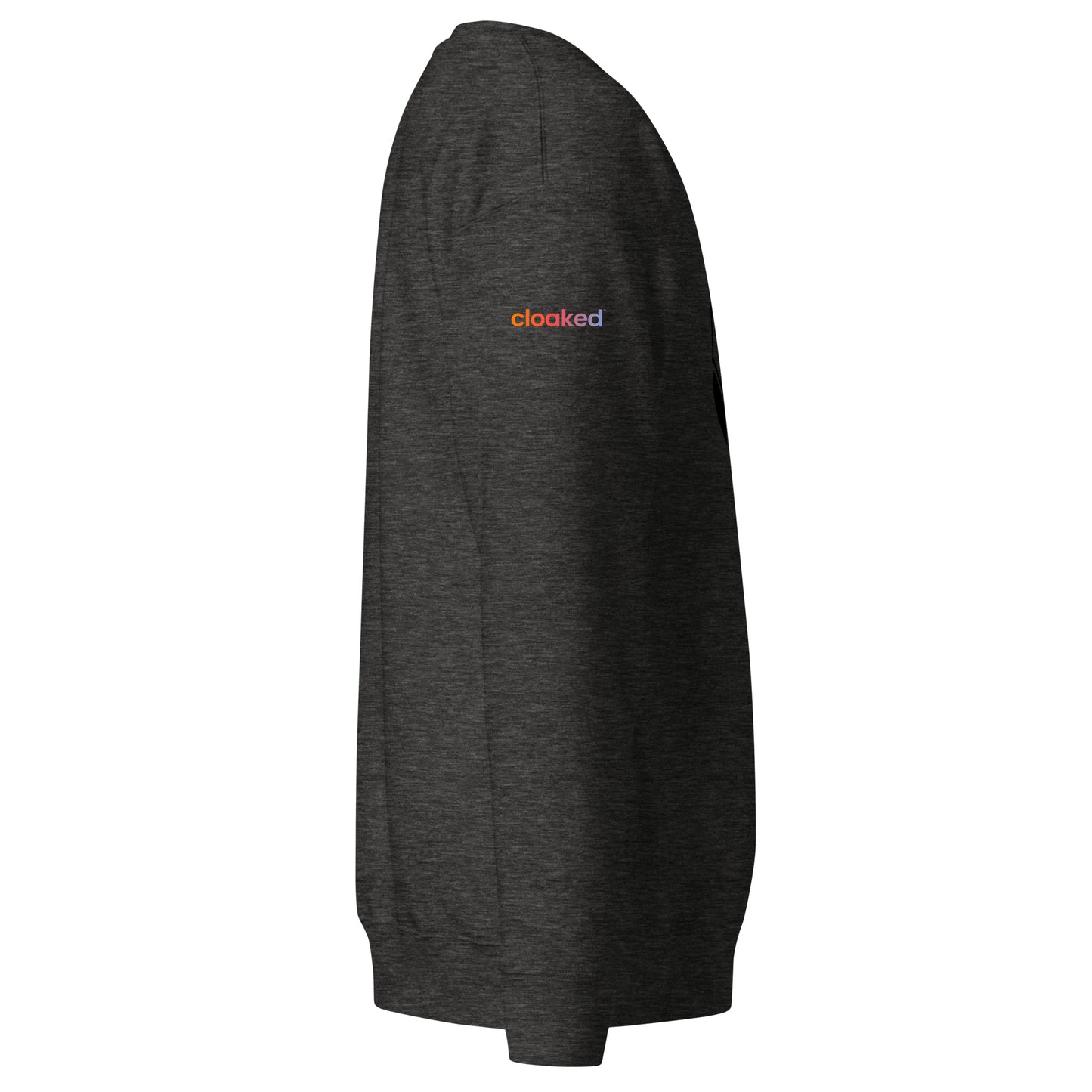 Winter Sweatshirt | "Hidden" Large Logo